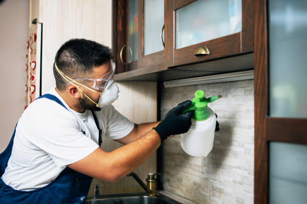 Pest Control Cost in De Kal, TX