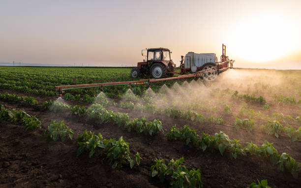 Best Mosquito Control Services  in De Kal, TX