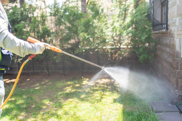 Best Residential Pest Control  in De Kal, TX