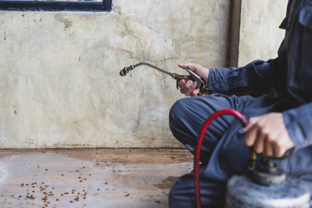 Best Affordable Pest Control Services  in De Kal, TX